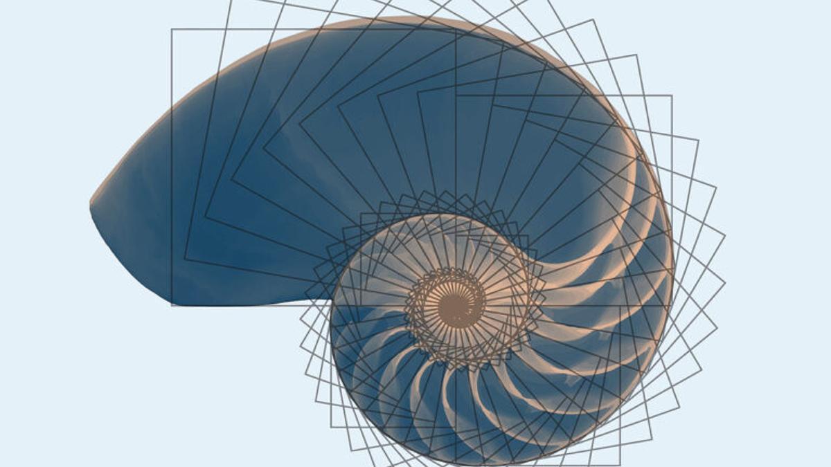 Nueva revolución en las teorías científicas sobre el origen de la consciencia