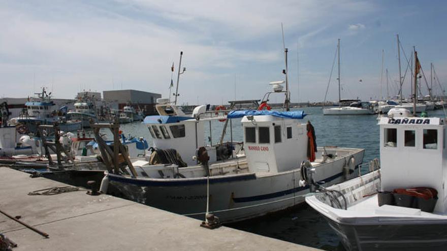 Barcos de pesca en las instalaciones portuarias de Caleta de Vélez.