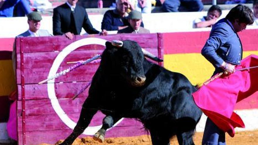 Víctor Janeiro salva la acometida del novillo con un natural.