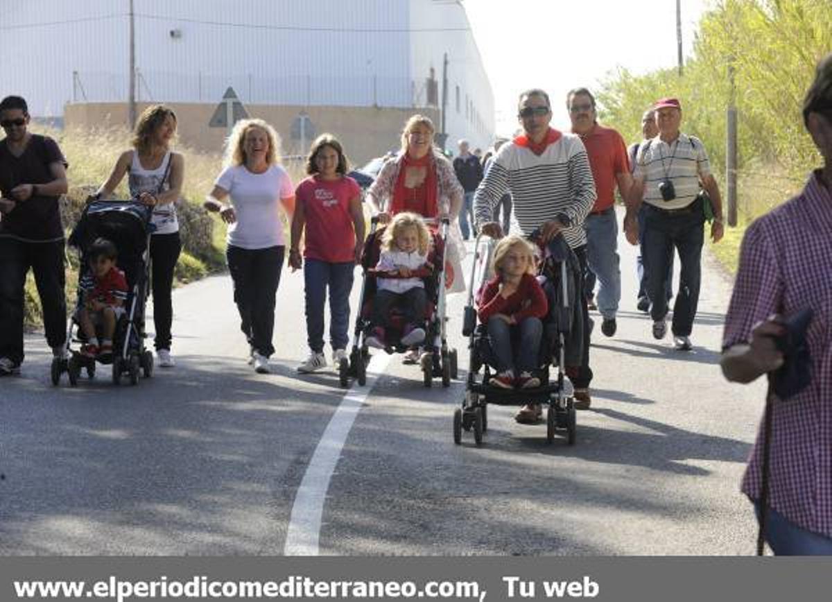 GALERÍA DE FOTOS - Romería en Almassora