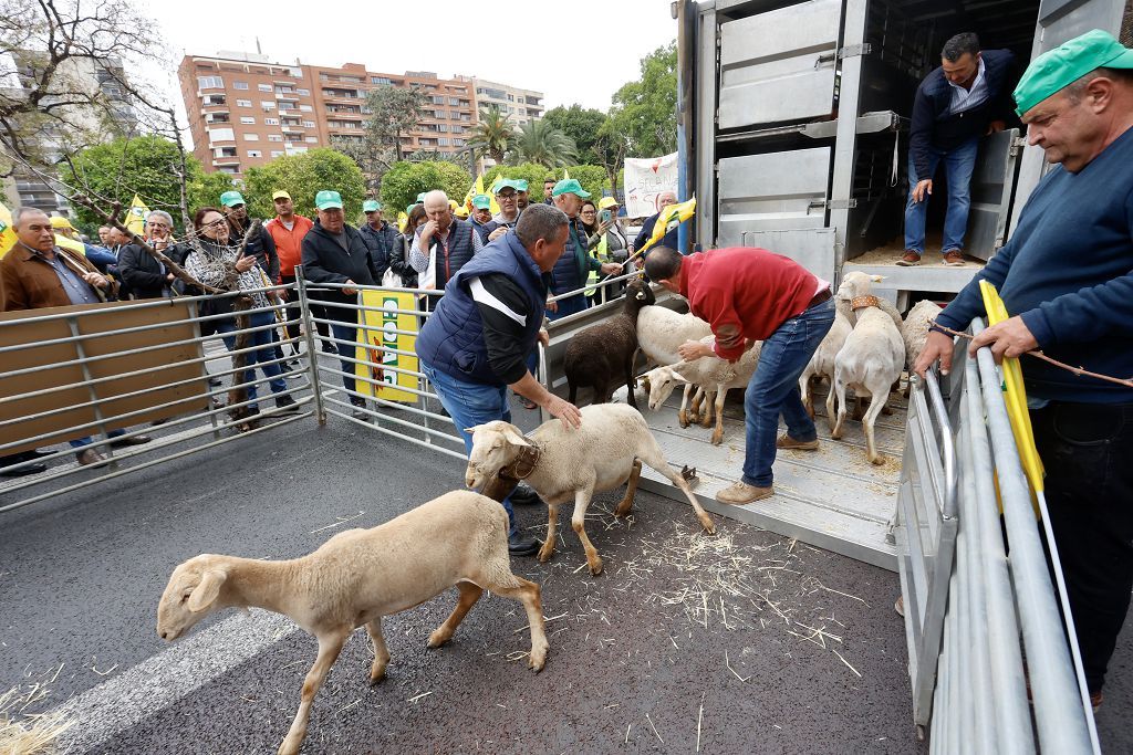 Medio millas de agricultores y ganaderos protestan en Teniente Flomesta