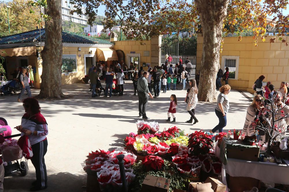 Afluencia masiva de público al botánico con motivo del mercado navideño que ofrecía, además, la posibilidad de visitar de forma gratuita, los jardines