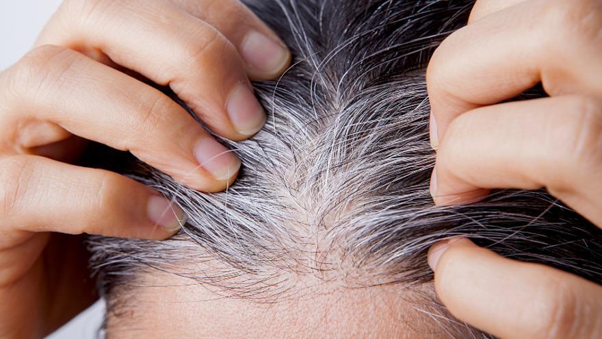 Cabello con canas