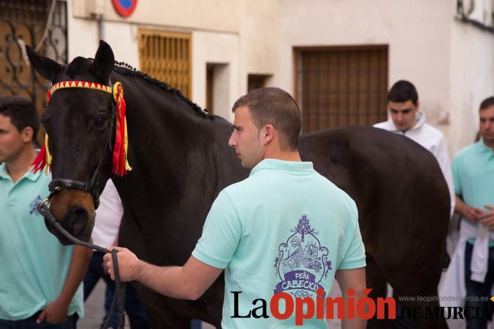 Caballo a pelo Caravaca (Desfile)