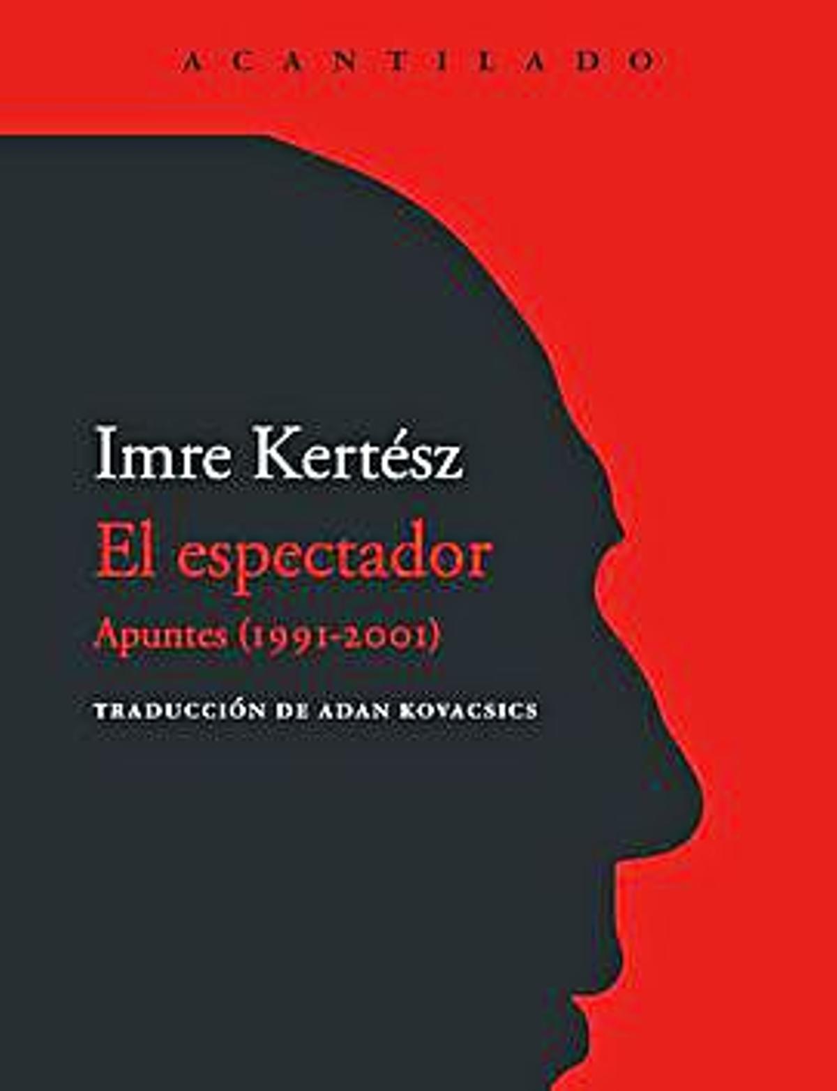 La belleza de la herida