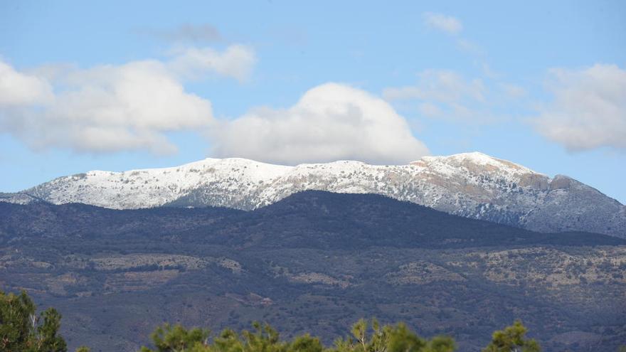 La voz más vieja de Sierra Espuña