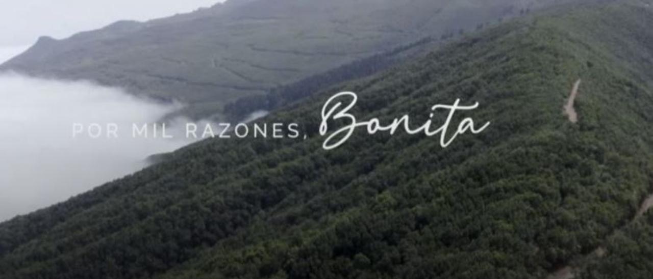 'Por mil razones, Bonita'