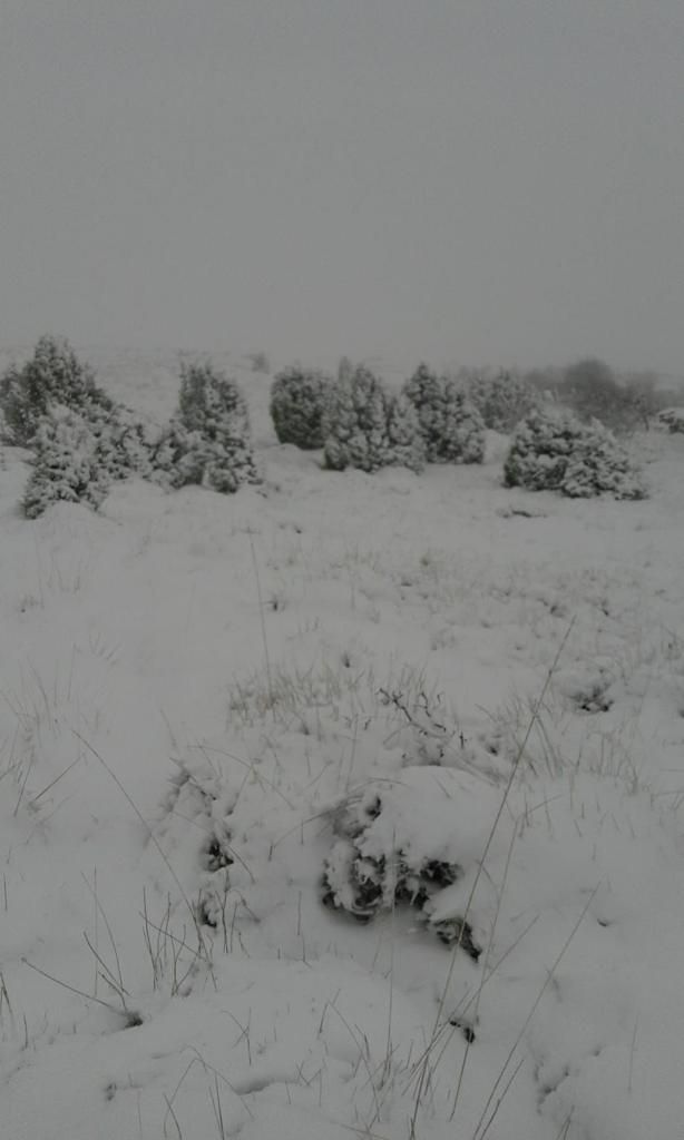 IMÁGENES DE POSTAL | Herbeset, una aldea de Morella cubierta por la nieve