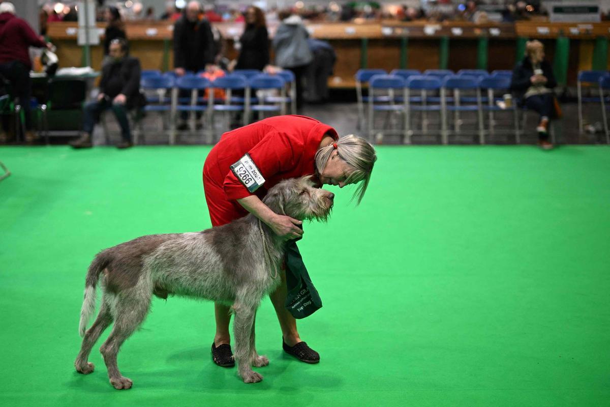 Exposición canina en el Centro Nacional de Exposiciones de Birmingham