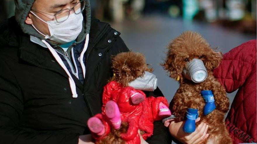 El president xinès coneixia la gravetat del virus al gener