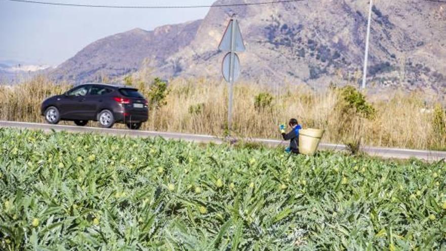 Mil seiscientos agricultores de Callosa cumplen cuatro días sin agua