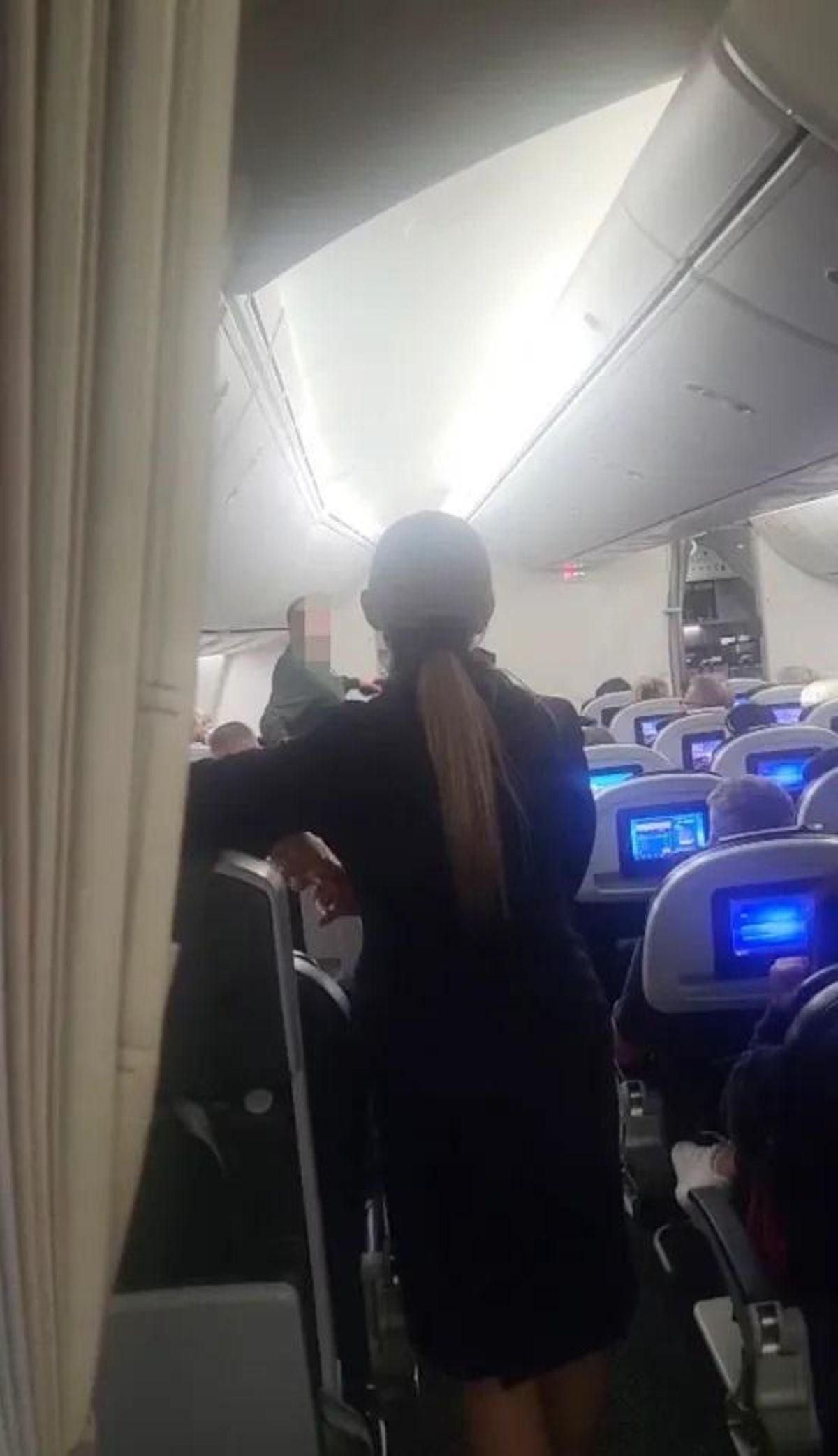 l hombre, fuera de sí, se levantó de su asiento gritando que el avión se iba a estrellar