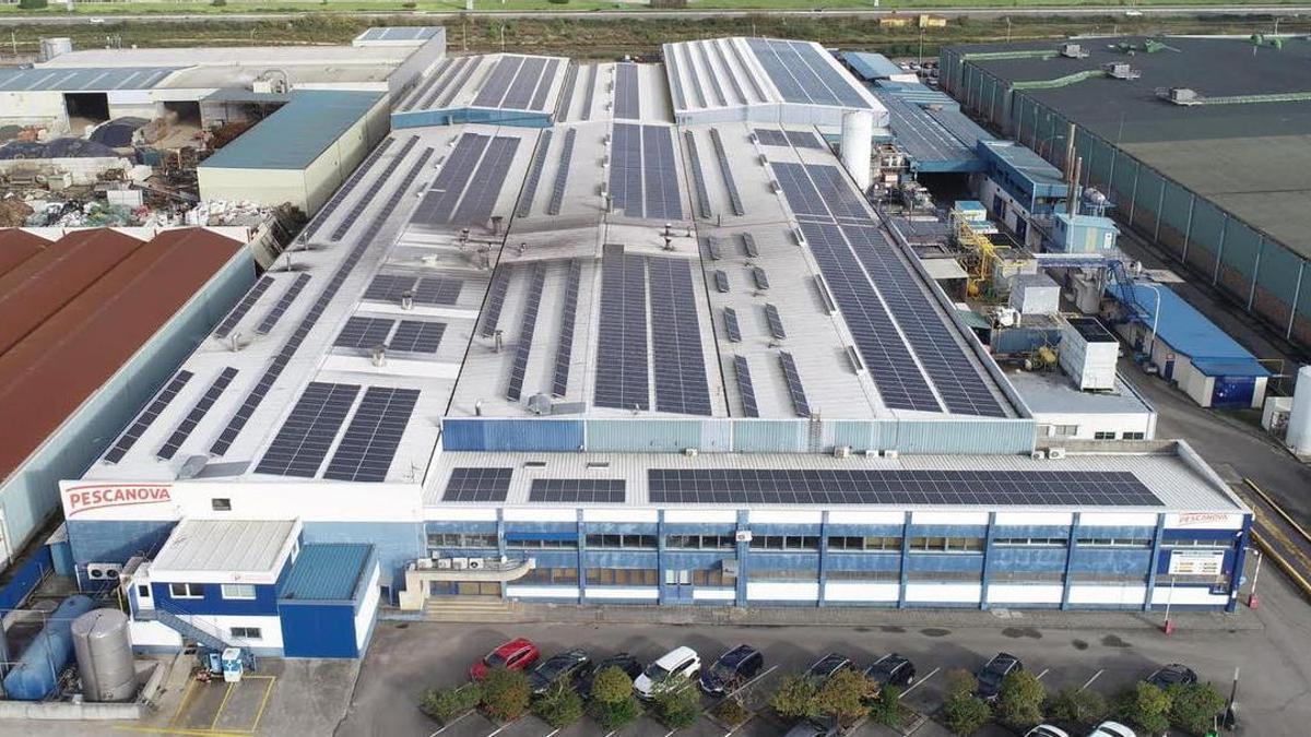 Centro Industrial de Pescanova en O Porriño