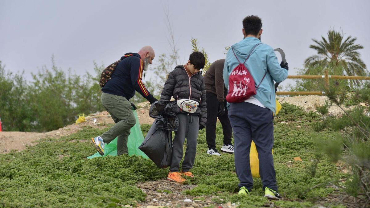 Limpieza del entorno del río Vinalopó en Elche