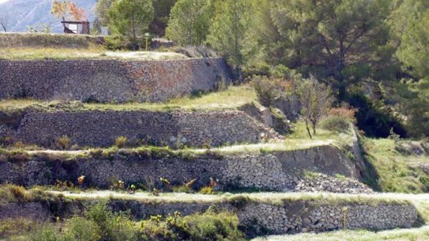 Los agricultores de Benissa alertan de que los muros del gaseoducto se hunden