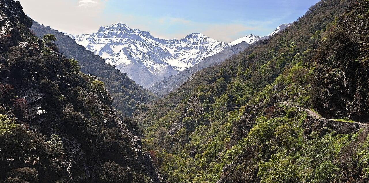 Panorámica de el Viso en la Vereda de la Estrella