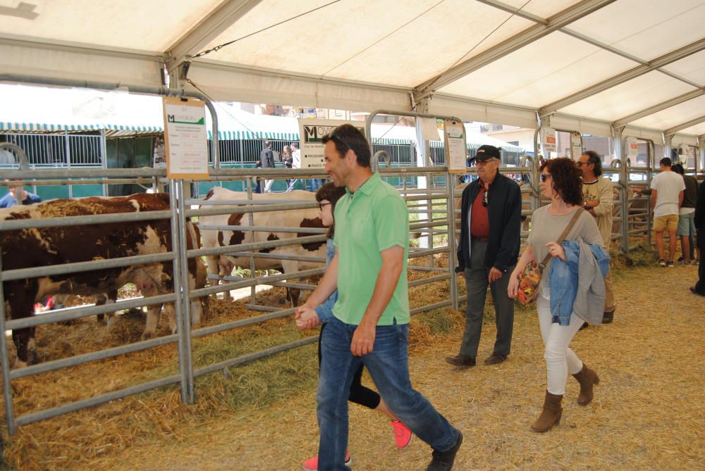 Segona jornada de la Fira de Sant Isidre a Solsona