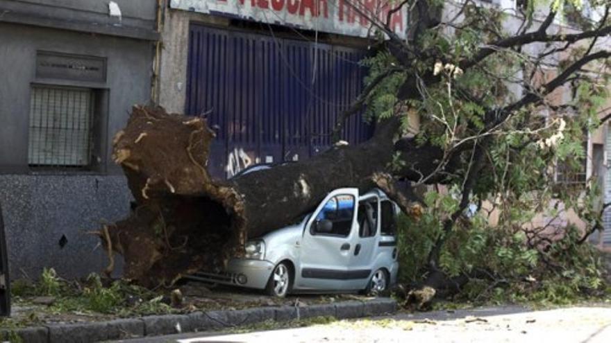 Un fuerte temporal provoca la muerte de 14 personas en Buenos Aires
