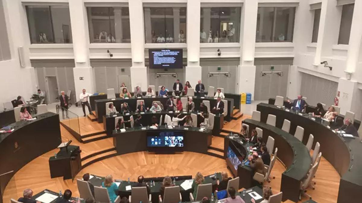 Momento del Pleno de este miércoles en el que Andreea Levy (PP) se ha dirigido al escaño de Antonio Giraldo (PSOE).