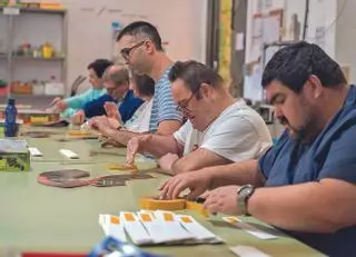 Promi: Atención a la discapacidad intelectual