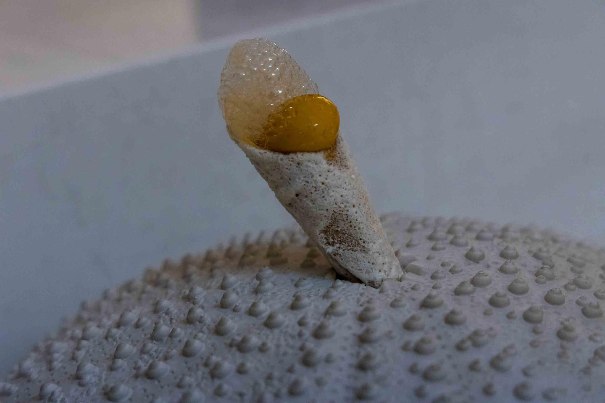 Espacio Montoro muestra su evolución en la alta cocina con producto alicantino