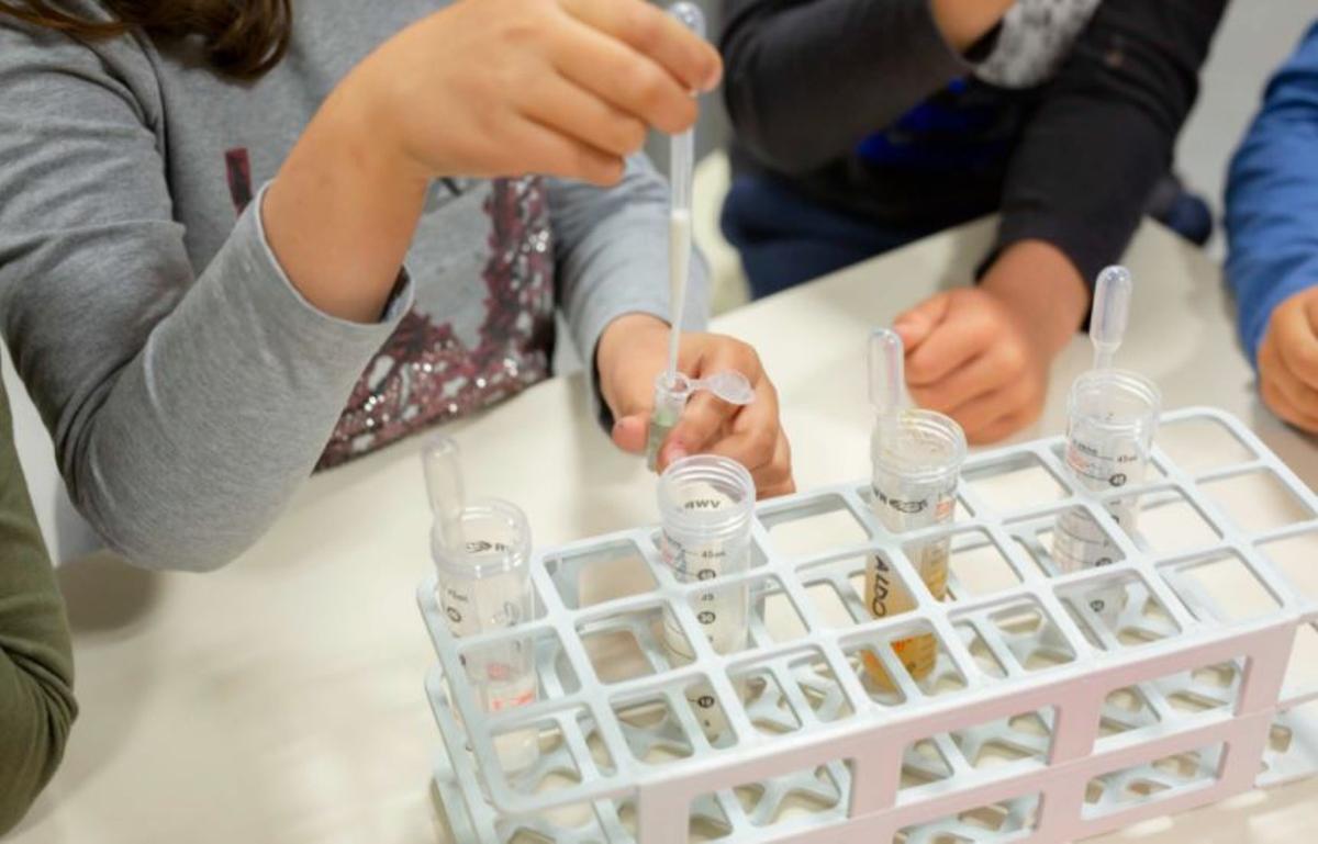 L’Hospitalet arrenca un programa per fomentar l’interès per la ciència entre alumnes d’infantil i primària