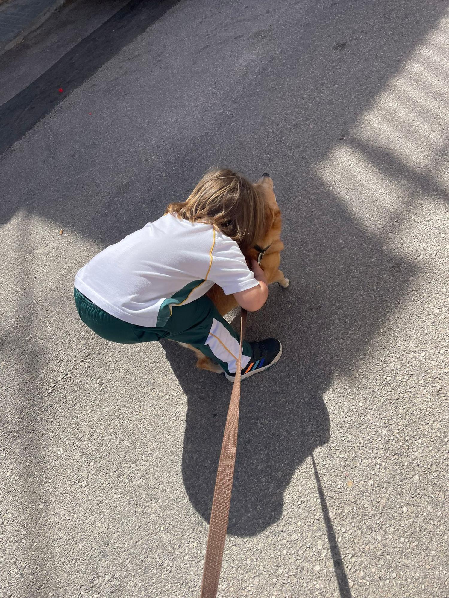 Hat Luna mindestens genauso vermisst wie seine Mutter Tamara Gülpen: Sohn Giulio.