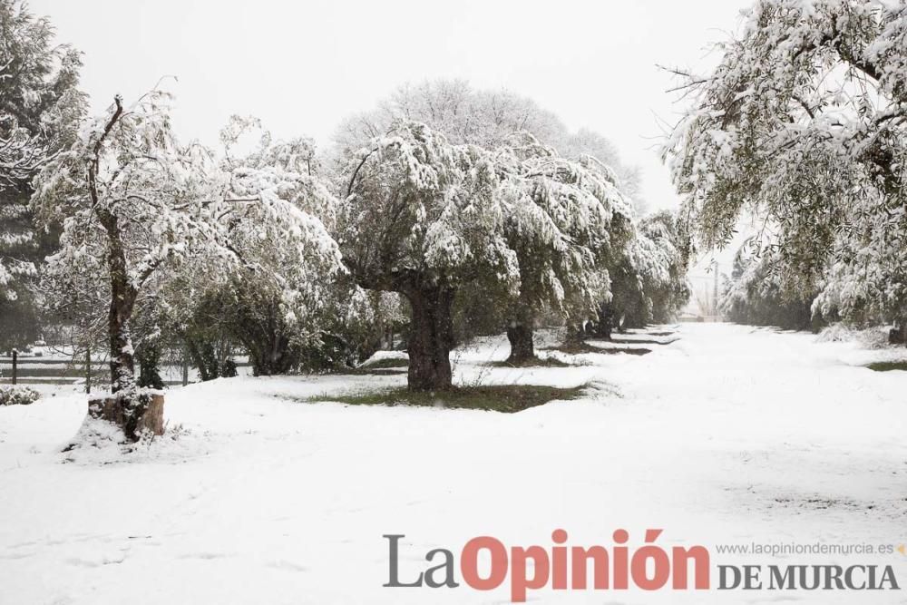 Nieve en las Fuentes del Marqués de Caravaca