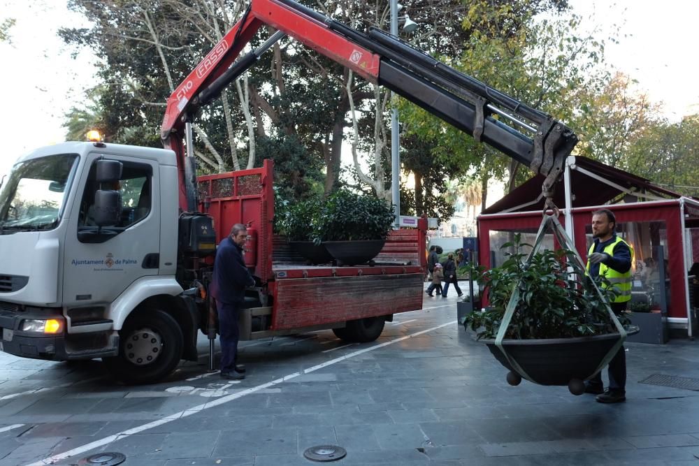 Autobarrieren am Borne-Boulevard in Palma