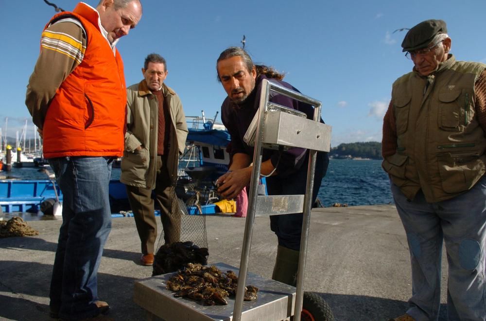 Las bateas de la ría de Pontevedra cumplen tres meses cerradas