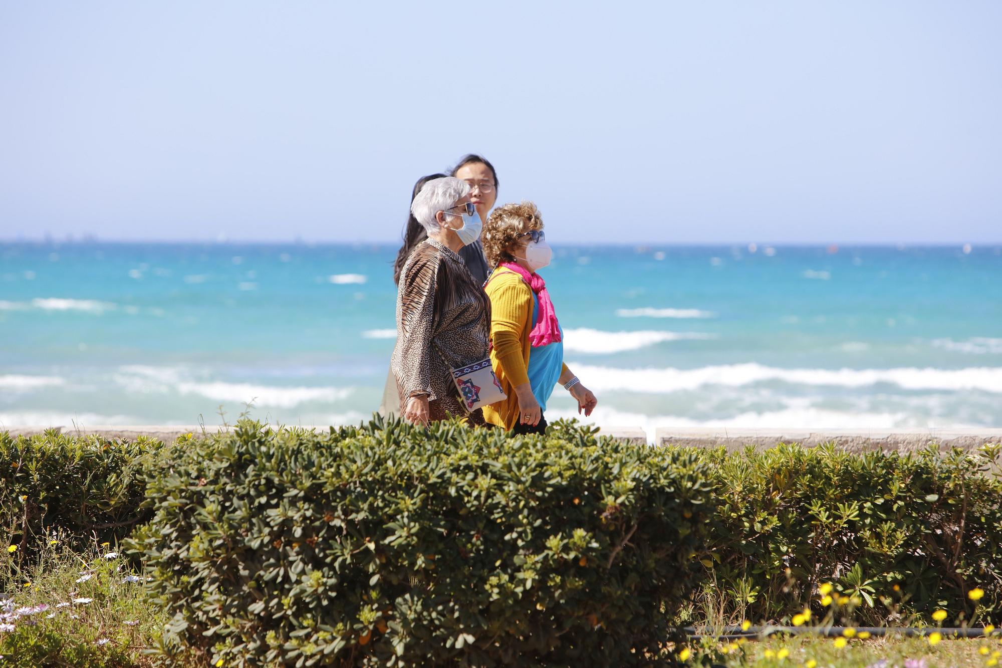 Die Playa de Palma ist wieder zum Leben erwacht