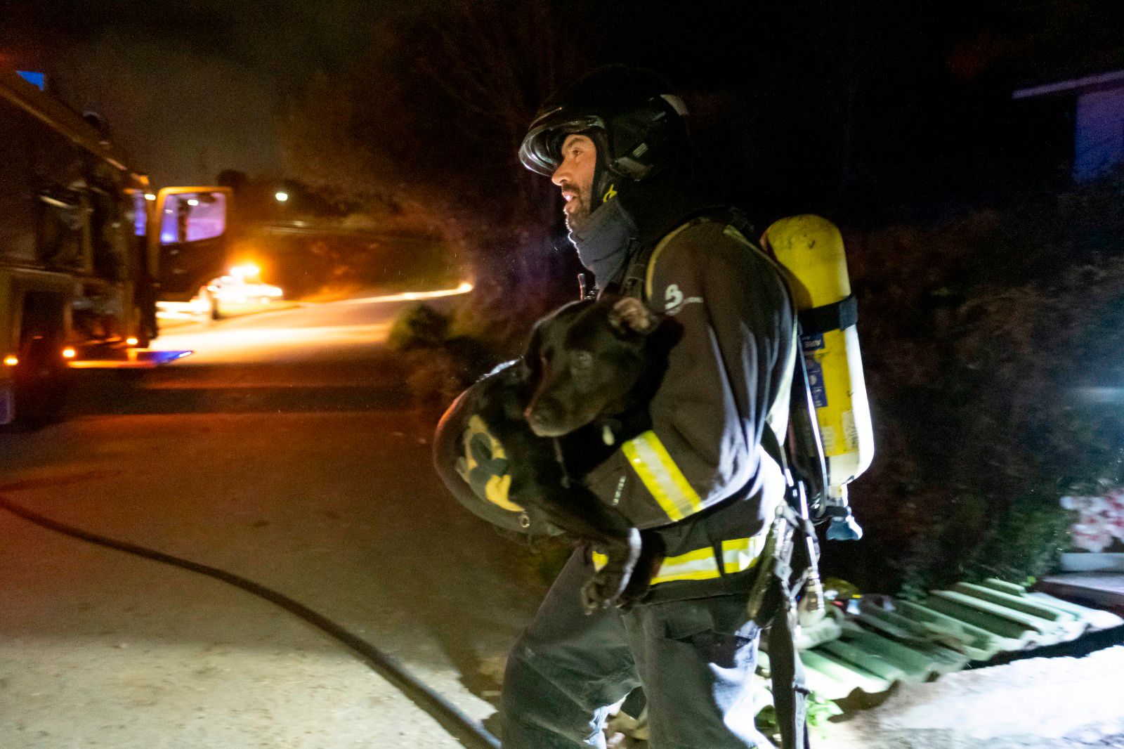 Un bombero rescata a un perro del interior de la casa.