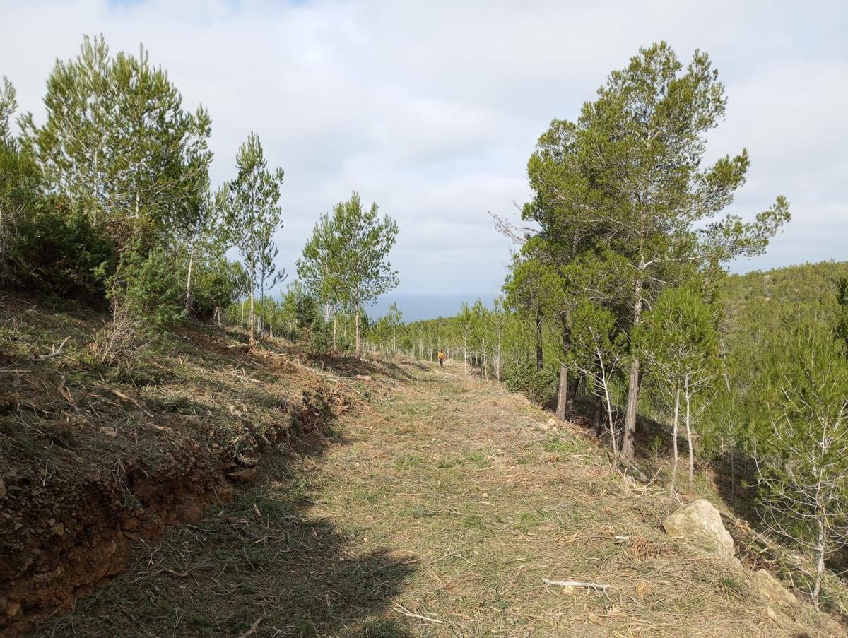 Franjas de defensa para prevenir incendios.
