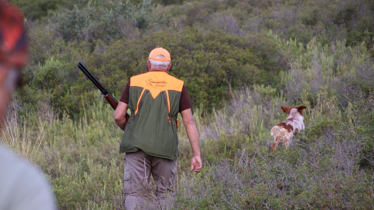 Un cazador en el monte con sus perros