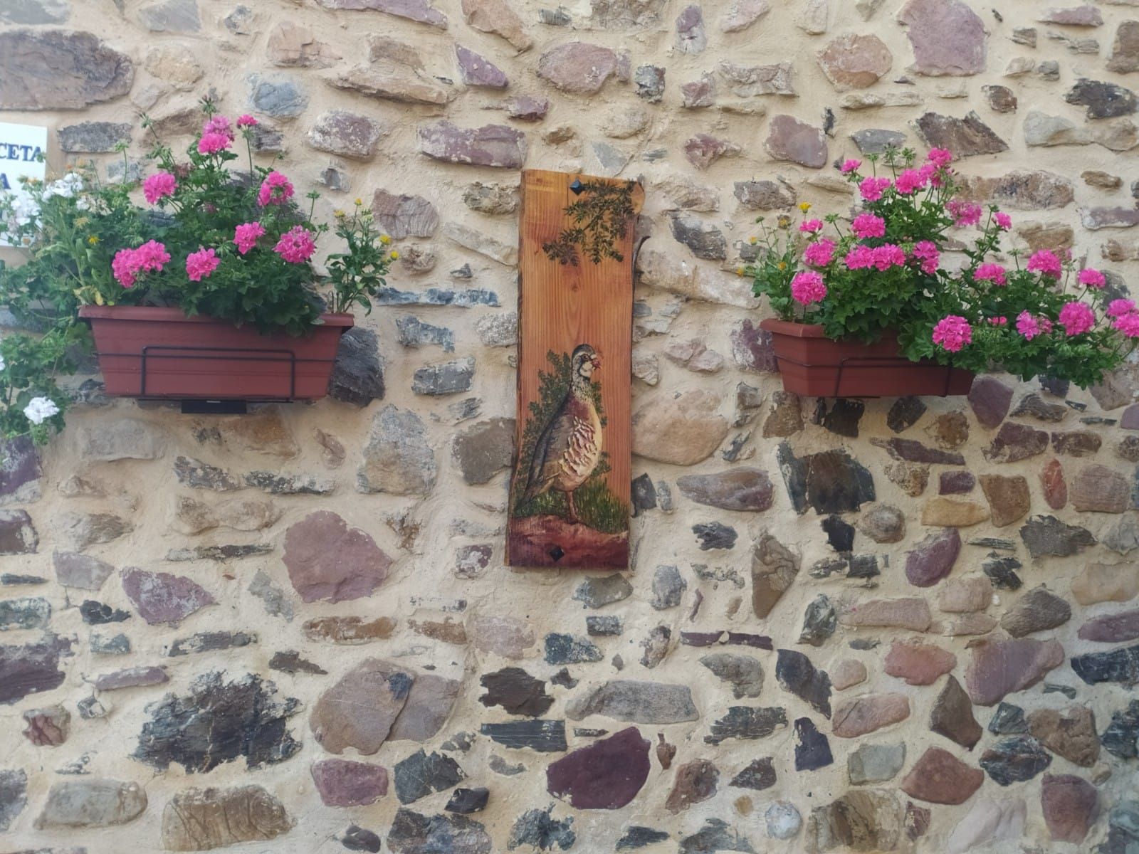 Viles en Flor, un reclamo turístico que mejora la imagen de Higueras gracias al esfuerzo de sus vecinos