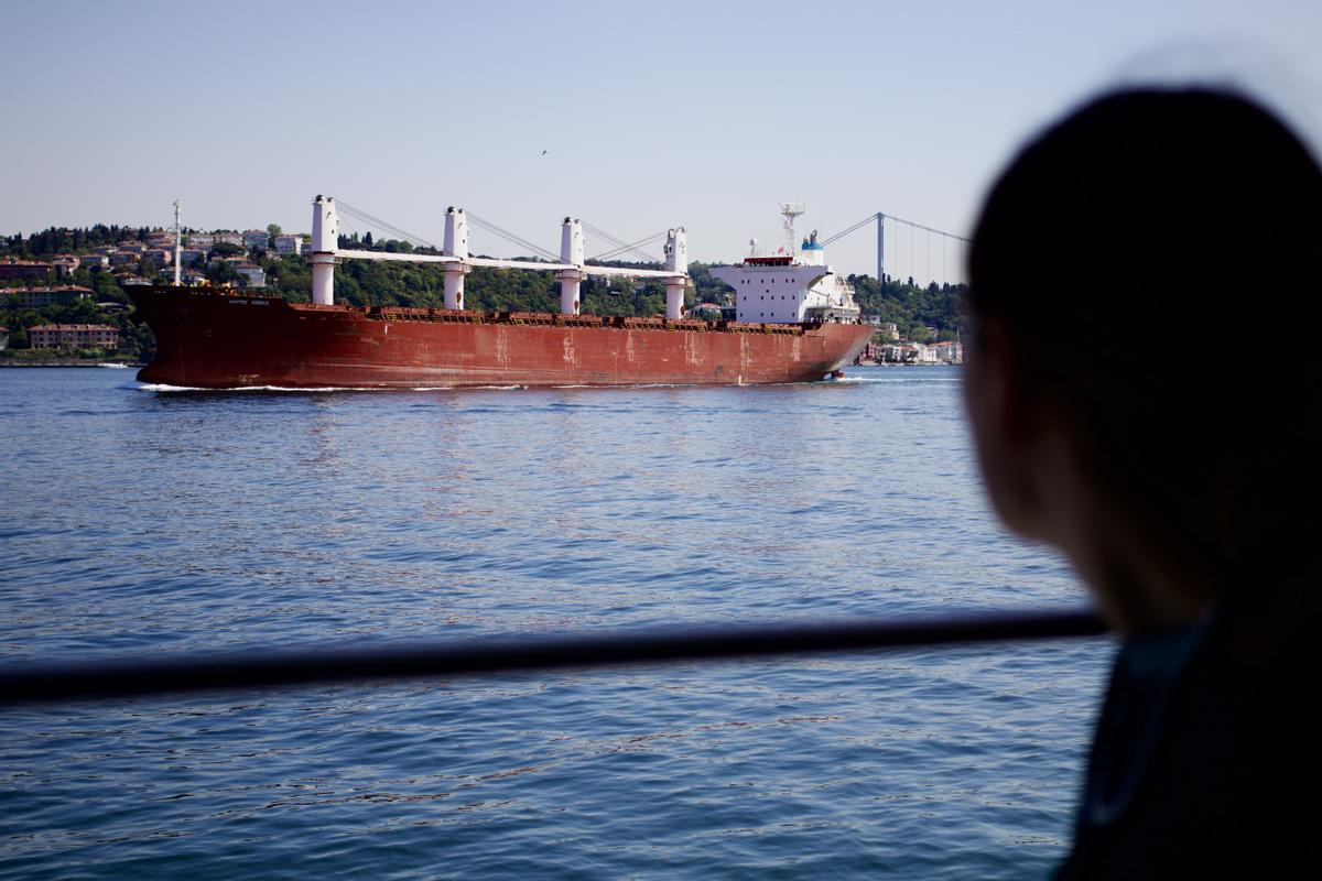 El buque ruso cargado de trigo robado procedente de Crimea, según los observadores.