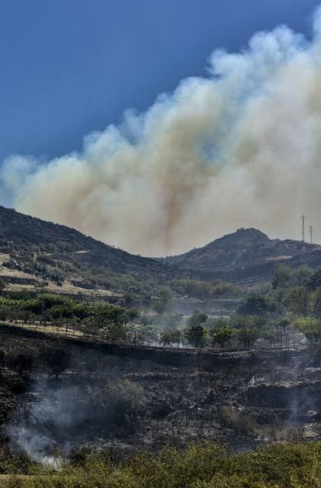 ARTENARA. Incendio en la Cumbre. Finca quemada en Lomo Cuevas y el fuego vivo en Las Peñas.  | 11/08/2019 | Fotógrafo: José Pérez Curbelo