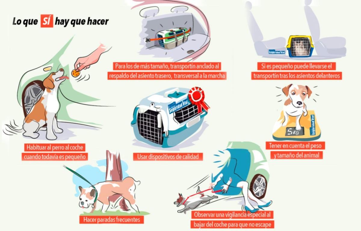 Los consejos de la DGT