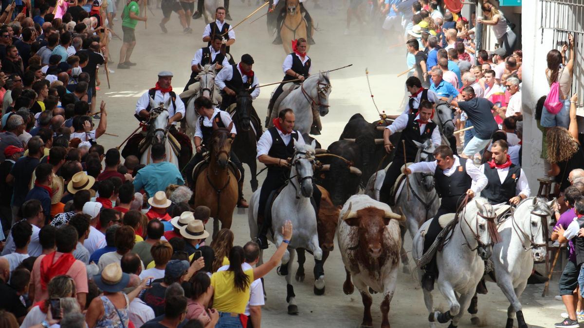 Del 4 al 10 de septiembre, Segorbe vibrará con la esperada Entrada de Toros y Caballos.