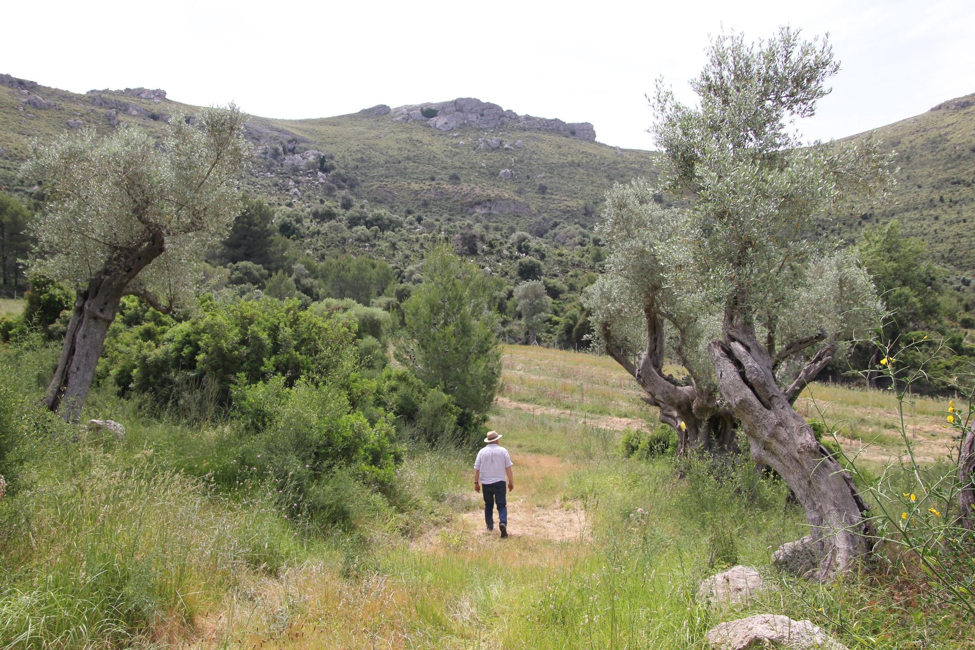 Fartàritx - mythische Finca in der Tramuntana