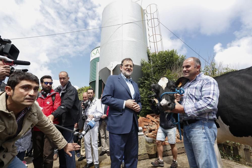 Visita de Mariano Rajoy a una ganadería en Gozón (Asturias)