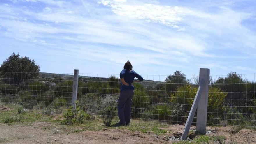 Uno de los cierres ejecutados recientemente en el término de Torregamones.