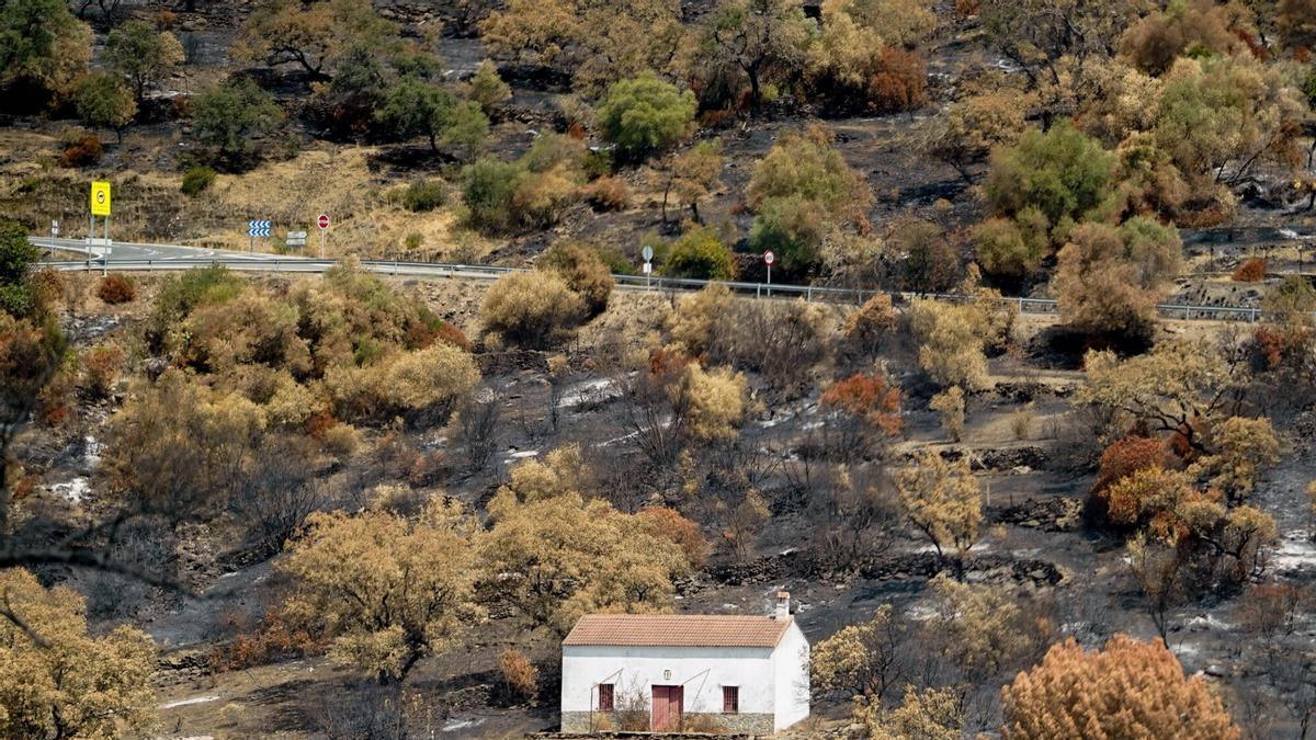 Zonas afectadas por el incendio de Niebla en las inmediaciones de Berrocal (Huelva)