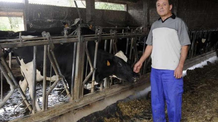 Una explotación de vacas de leche en la localidad silledense de A Bandeira.  // Bernabé/Javier Lalín