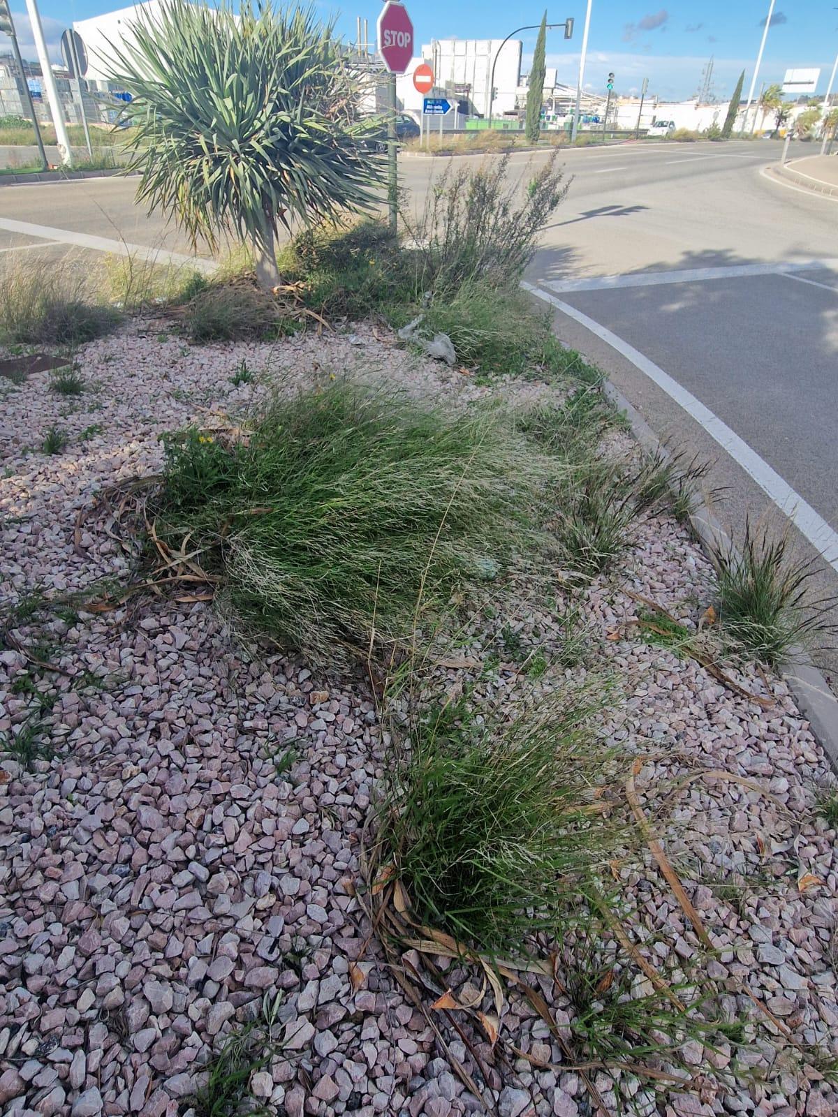 Estado de las medianas de las Costeras de Murcia.
