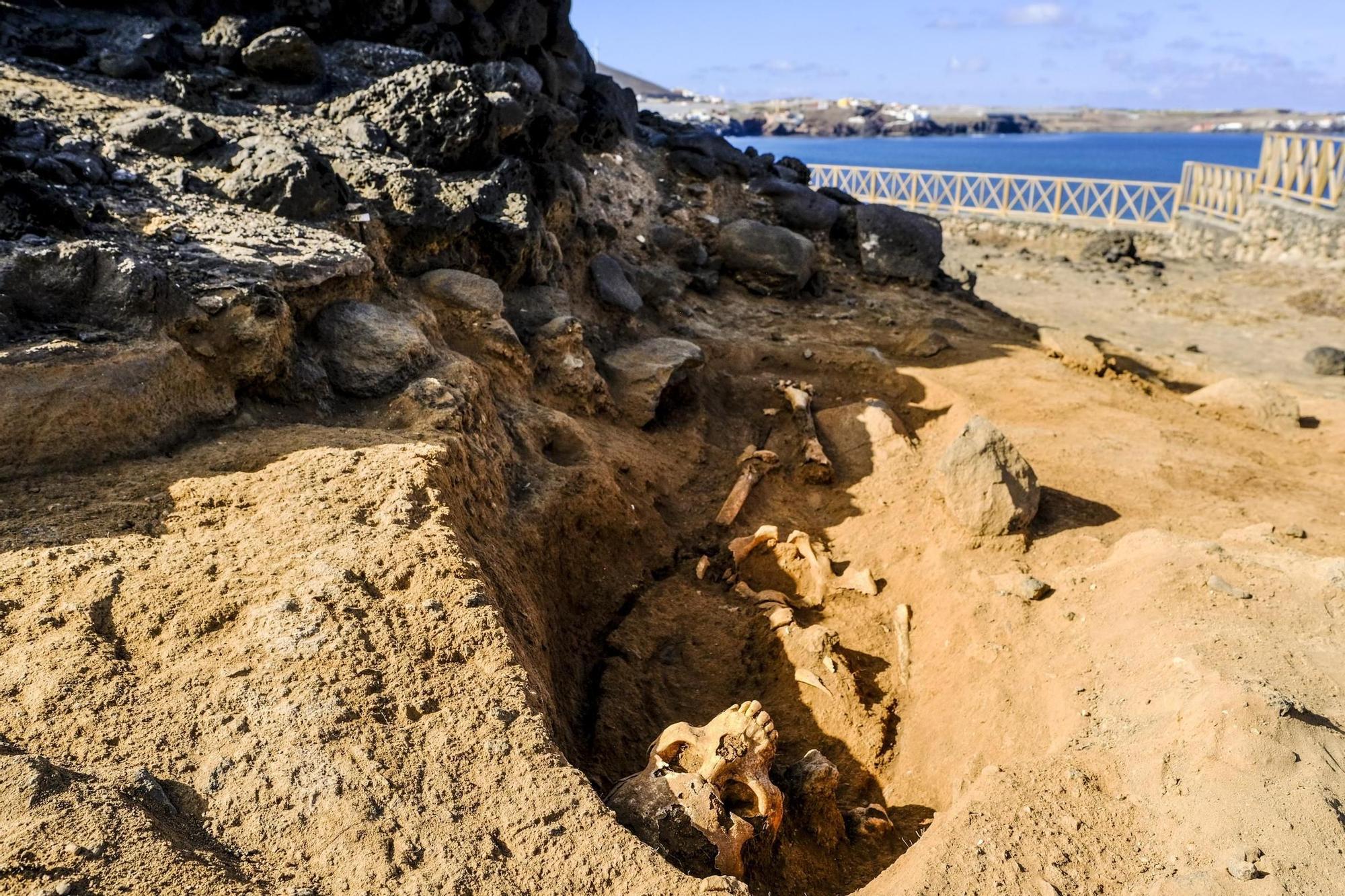 En primer término, esqueleto hallado en el yacimiento de La Guancha en noviembre de 2023.