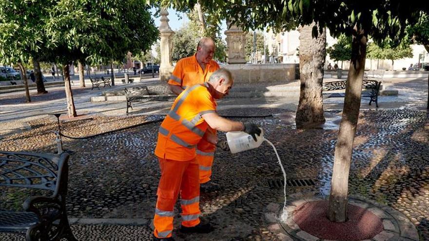 El Ayuntamiento crea una comisión de seguimiento para vigilar el Alpargate