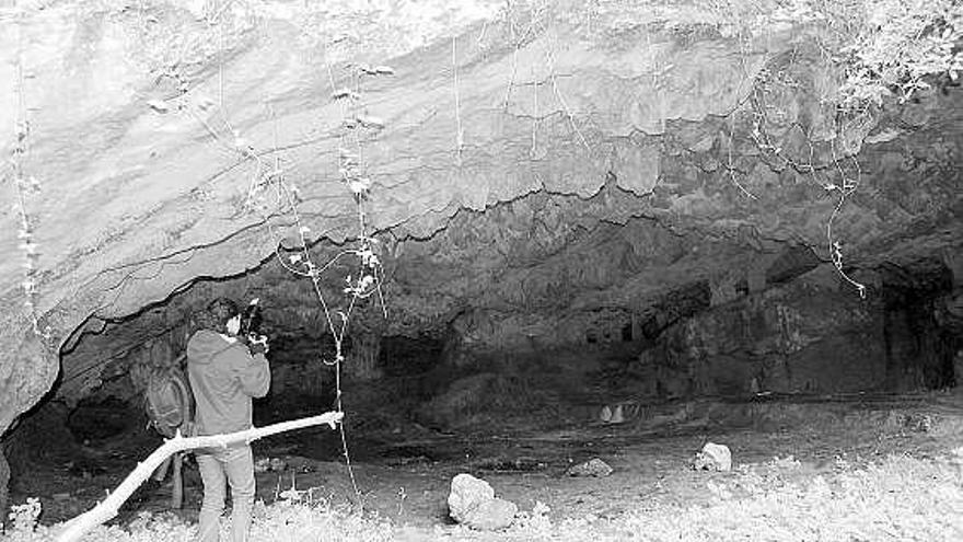 Zona de entrada a la cueva de Las Herrerías, en La Pereda (Llanes).