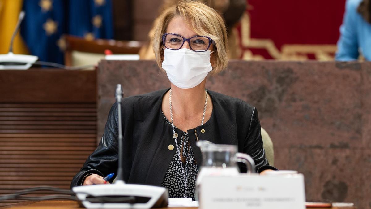 La consejera de Economía, Conocimiento y Empleo, Elena Máñez, en el Parlamento.