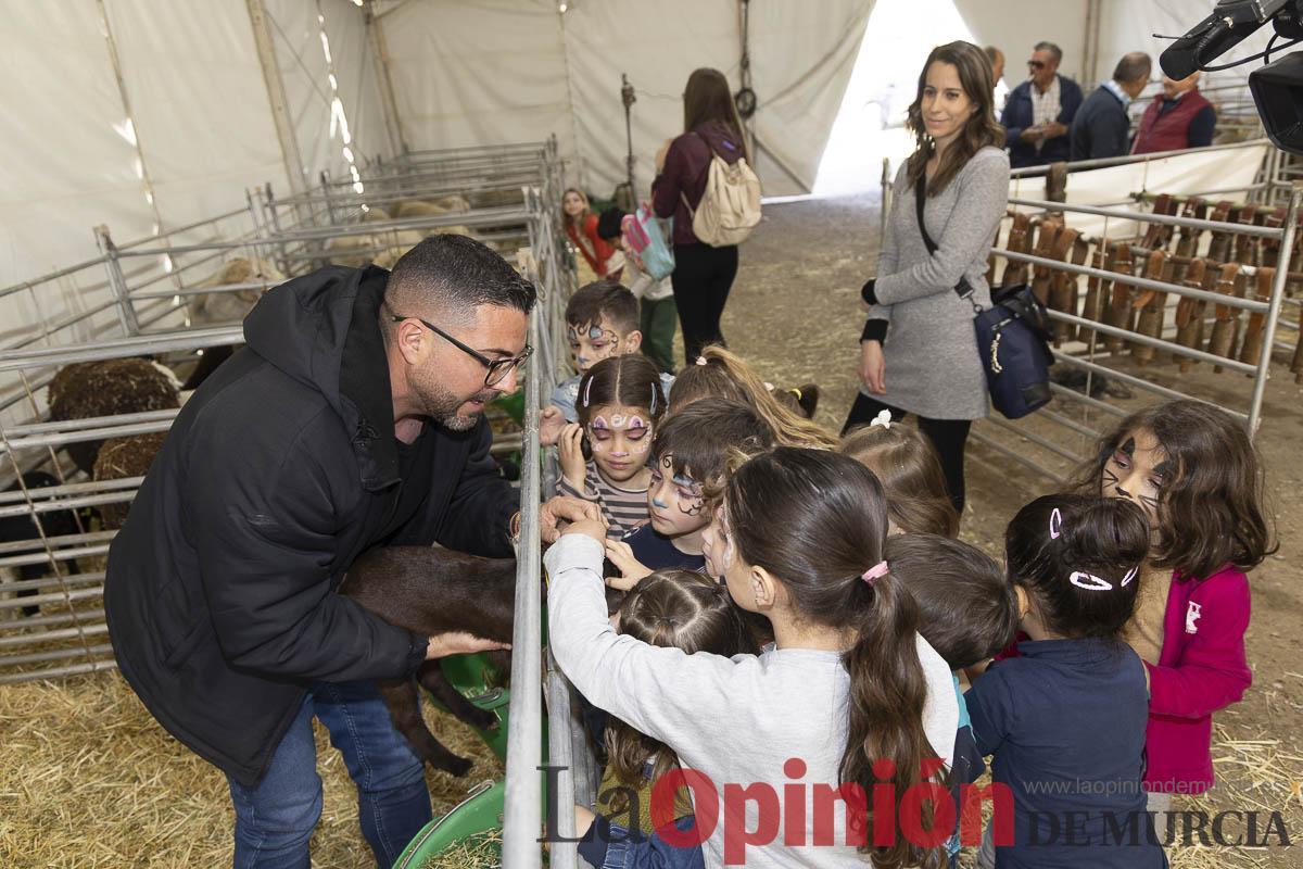 Así se ha vivido la IX Feria del Cordero Segureño celebraba en la pedanía caravaqueña de Archivel